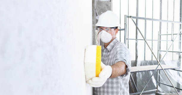 Best Mold Remediation for Healthcare Facilities  in Wellford, SC